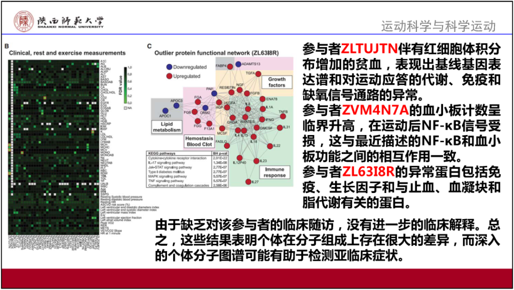 2025-2024新奥正版资料大全，构建解答解释落实的蓝图