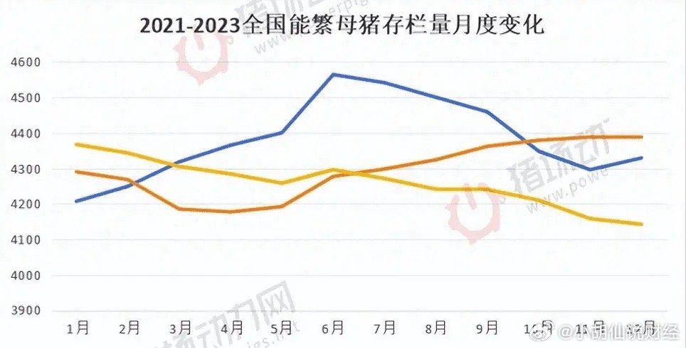 今日全国生猪最新价格，市场波动与未来趋势分析