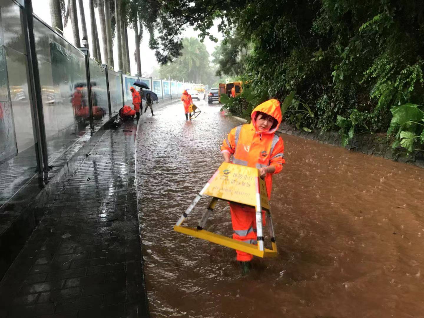 2017台风最新消息，风雨中的坚守与应对