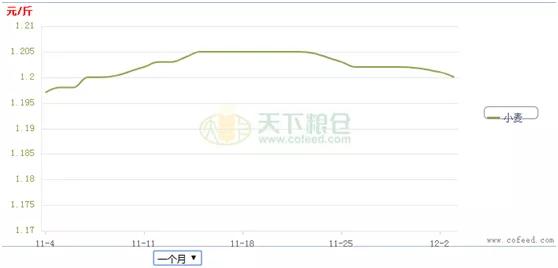 小麦今日最新价格查询，市场波动背后的原因与趋势分析