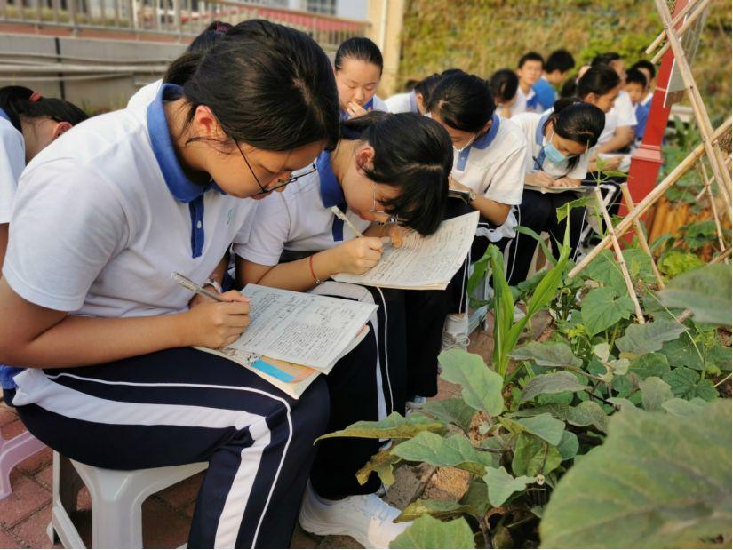 深圳最新劳动法，保障劳动者权益，促进和谐劳动关系